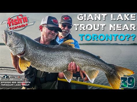 fishincanada.com|fish'n canada contests.
